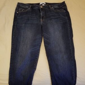 Lane Bryant Super Stretch Skinny Jean